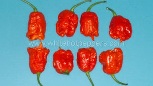 Carolina Reaper - Pepper Seeds - White Hot Peppers