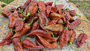 Chocolate Ghost Jami - Pepper Seeds - White Hot Peppers