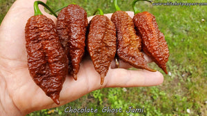 Chocolate Ghost Jami - Pepper Seeds - White Hot Peppers