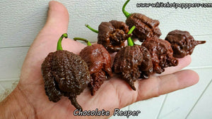 Chocolate Reaper - Pepper Seeds - White Hot Peppers