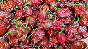 Chocolate Reaper - Pepper Seeds - White Hot Peppers