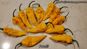 Fatalii - Pepper Seeds - White Hot Peppers