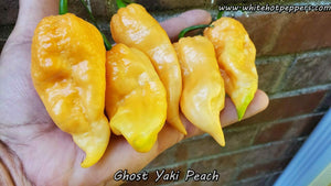 Ghost Yaki Peach - Pepper Seeds - White Hot Peppers