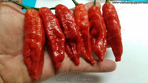 Ghostly Jalapeno - Pepper Seeds - White Hot Peppers