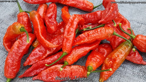 Ghostly Jalapeno - Pepper Seeds - White Hot Peppers