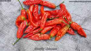 Ghostly Jalapeno - Pepper Seeds - White Hot Peppers