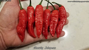 Ghostly Jalapeno - Pepper Seeds - White Hot Peppers