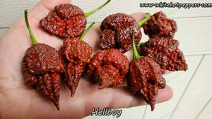 Hellboy - Pepper Seeds - White Hot Peppers