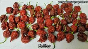 Hellboy - Pepper Seeds - White Hot Peppers