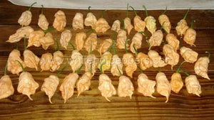 Jay's Peach Ghost Scorpion - Pepper Seeds - White Hot Peppers
