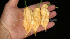 Jay's Peach Ghost Scorpion - Pepper Seeds - White Hot Peppers