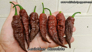 Leviathan Chocolate - Pepper Seeds - White Hot Peppers