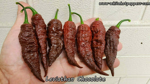Leviathan Chocolate - Pepper Seeds - White Hot Peppers