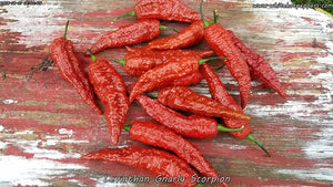 Leviathan Gnarly Scorpion - Pepper Seeds - White Hot Peppers