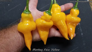 Monkey Face Yellow - Pepper Seeds - White Hot Peppers