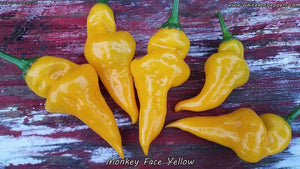 Monkey Face Yellow - Pepper Seeds - White Hot Peppers