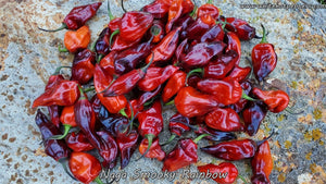 Naga Smooky Rainbow - Pepper Seeds - White Hot Peppers