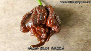 Naglah Beast Caramel - Pepper Seeds - White Hot Peppers