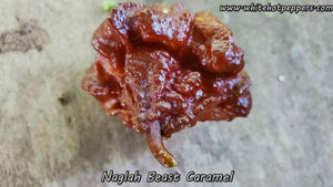 Naglah Beast Caramel - Pepper Seeds - White Hot Peppers