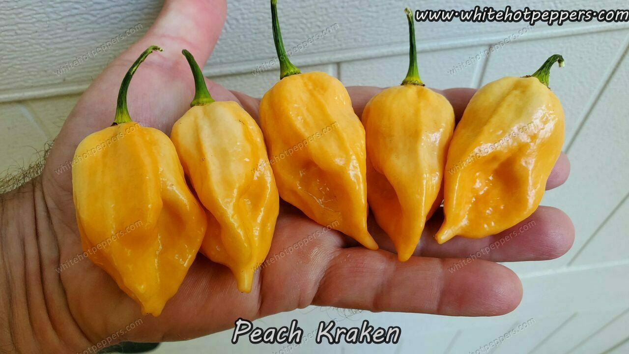 Peach Kraken - Pepper Seeds - White Hot Peppers