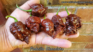 Podzilla Chocolate - Pepper Seeds - White Hot Peppers