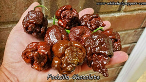 Podzilla Chocolate - Pepper Seeds - White Hot Peppers