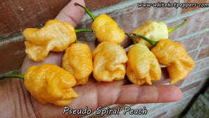 Pseudo Spiral Peach - Pepper Seeds - White Hot Peppers