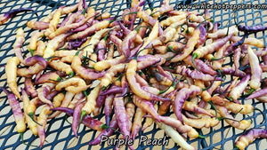 Purple Peach - Pepper Seeds - White Hot Peppers