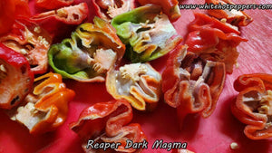 Reaper Dark Magma - Pepper Seeds - White Hot Peppers