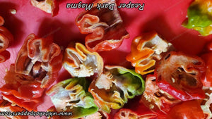 Reaper Dark Magma - Pepper Seeds - White Hot Peppers