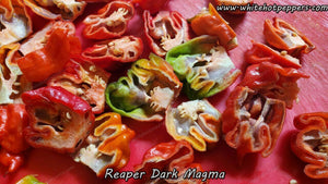 Reaper Dark Magma - Pepper Seeds - White Hot Peppers
