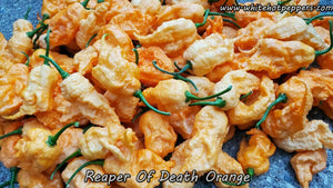 Reaper of Death Orange - Pepper Seeds - White Hot Peppers