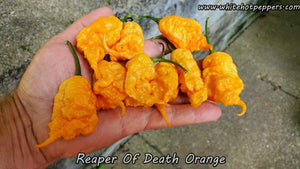 Reaper of Death Orange - Pepper Seeds - White Hot Peppers