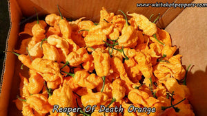 Reaper of Death Orange - Pepper Seeds - White Hot Peppers