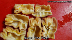 Reaper Pink Peach - Pepper Seeds - White Hot Peppers