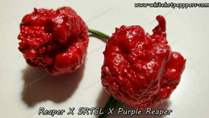 Reaper x SRTSL x Purple Reaper - Pepper Seeds - White Hot Peppers