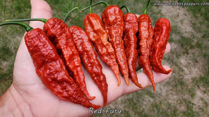 Red Fury - Pepper Seeds - White Hot Peppers