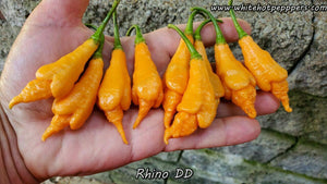 Rhino DD - Pepper Seeds - White Hot Peppers