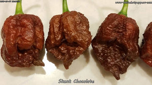 Skunk Chocolate - Pepper Seeds - White Hot Peppers