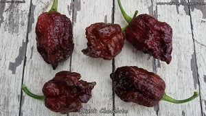 Skunk Chocolate - Pepper Seeds - White Hot Peppers