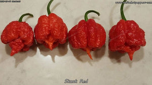 Skunk Red - Pepper Seeds - White Hot Peppers