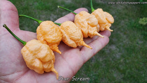 Star Scream - Pepper Seeds - White Hot Peppers