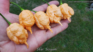 Star Scream - Pepper Seeds - White Hot Peppers