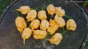 Star Scream - Pepper Seeds - White Hot Peppers