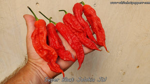 Super Bhut Jolokia JW - Pepper Seeds - White Hot Peppers