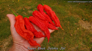 Super Bhut Jolokia JW - Pepper Seeds - White Hot Peppers