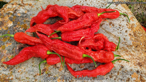 Super Bhut Jolokia JW - Pepper Seeds - White Hot Peppers