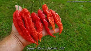 Super Bhut Jolokia JW - Pepper Seeds - White Hot Peppers