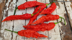 Super Bhut Jolokia JW - Pepper Seeds - White Hot Peppers