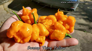 Swamp Thing Yellow - Pepper Seeds - White Hot Peppers